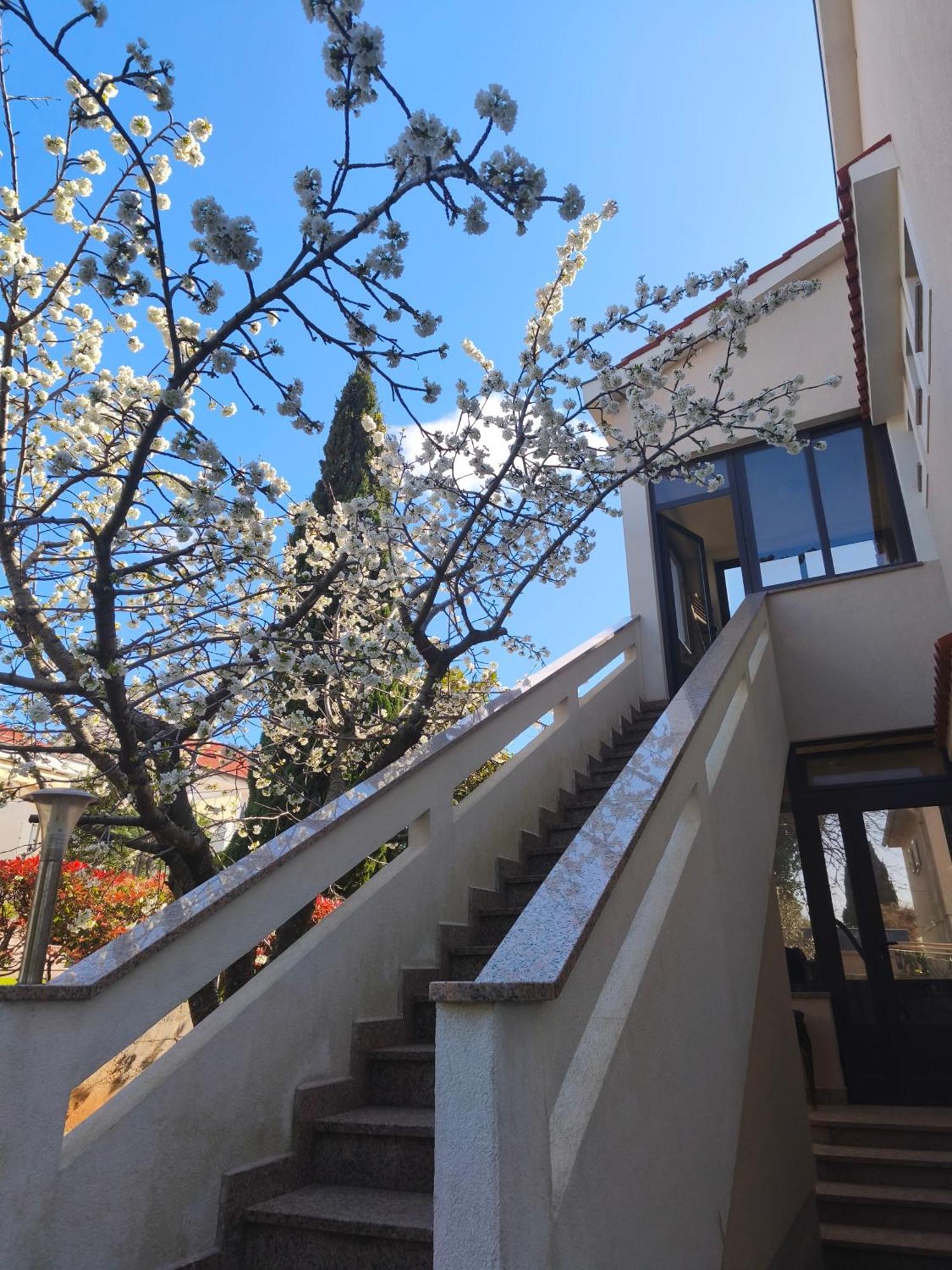 Apartmani Romana Punat Extérieur photo